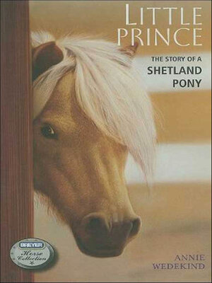 Little Prince - ebook